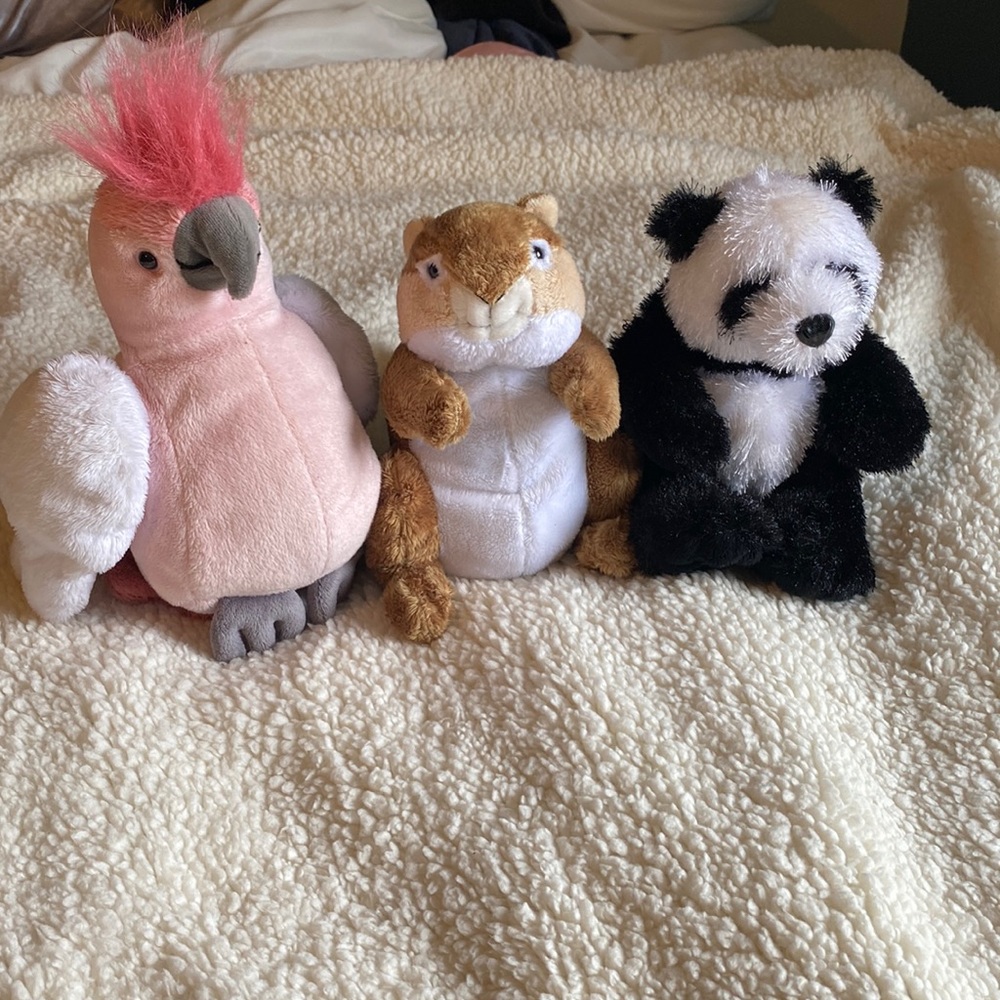 Webkinz (Lot of 3)